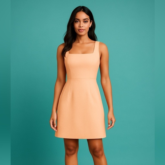 Club Monaco Dresses & Skirts - CLUB MONACO CLASSY DOUBLE BOW IN BACK PEACH DRESS SIZE 6